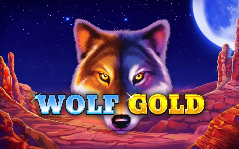 Registe-se na Sportuna para testar a divertida slot Wolf Gold.
